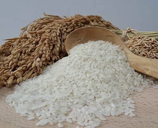 Yerli Pirinç mi, İthal Pirinç mi? Sofralara Gelen Pirinçte Tercih Tartışması